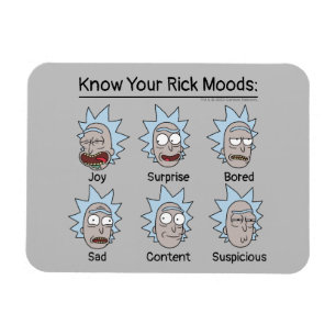 ÍMÃ RICK E MORTY™   RICK