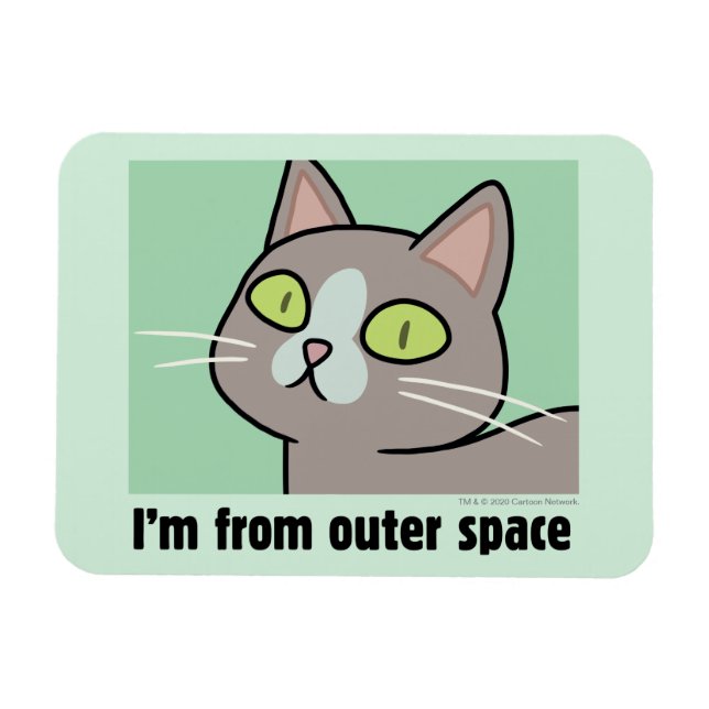 Ímã RICK E MORTY™ | Sou do Espaço Exterior (Horizontal)