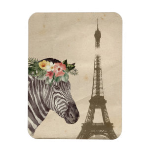 Ímã Rico Zebra e Torre Eiffel