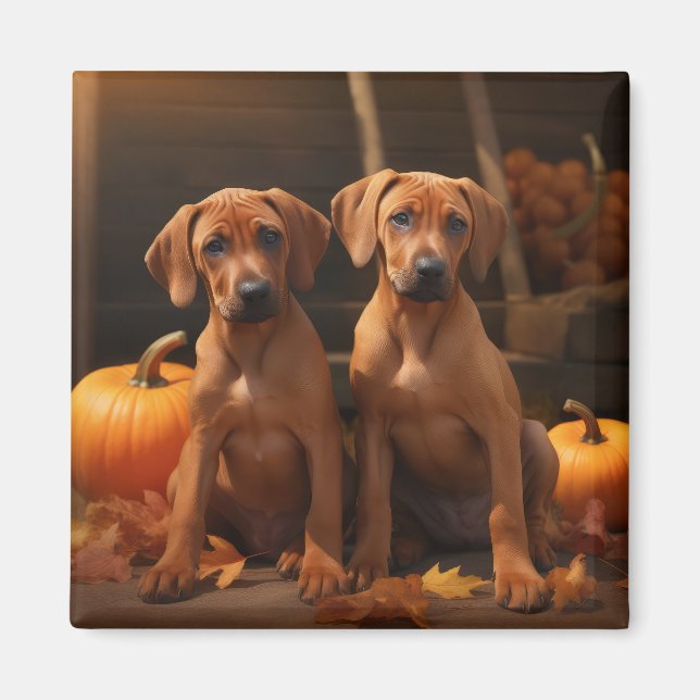 Imã Ridgeback Ridgeback Puppy Autumn Delight Pumpkin (Frente)