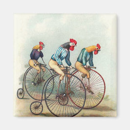 Imã Riding Roosters