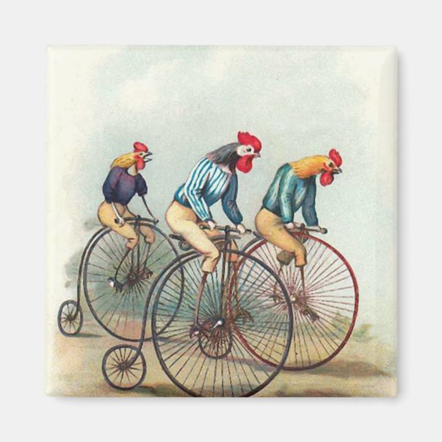 Imã Riding Roosters (Frente)