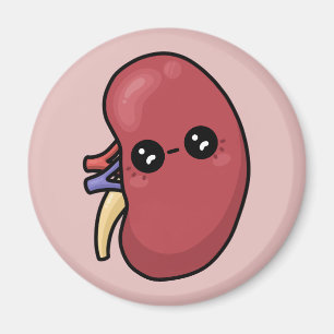 Imã Rim Cute - Biologia Humana