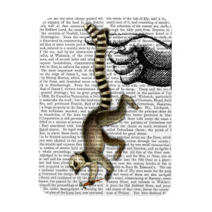 Ímã Ring Tailed Lemur no dedo 2