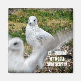 Imã Ringbill Seagull 