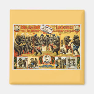 Imã Ringling Bros Pachyderms1899