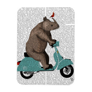 Ímã Rino em Moped