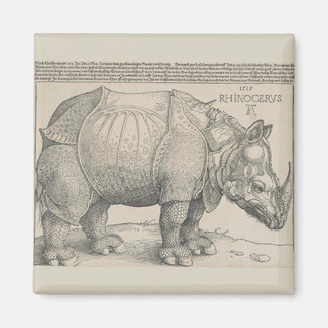Imã Rinocerontes, Woodcut por Albrecht Durer (Frente)