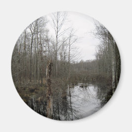 Imã Rio através da natureza