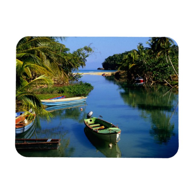 Ímã Rio Cênico perto de Ocho Rios na Jamaica (Horizontal)