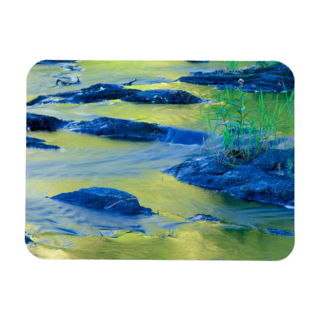 Ímã Rio Lamprey | New Hampshire (Horizontal)