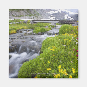 Imã Rio obscuro com os Wildflowers cor-de-rosa brancos