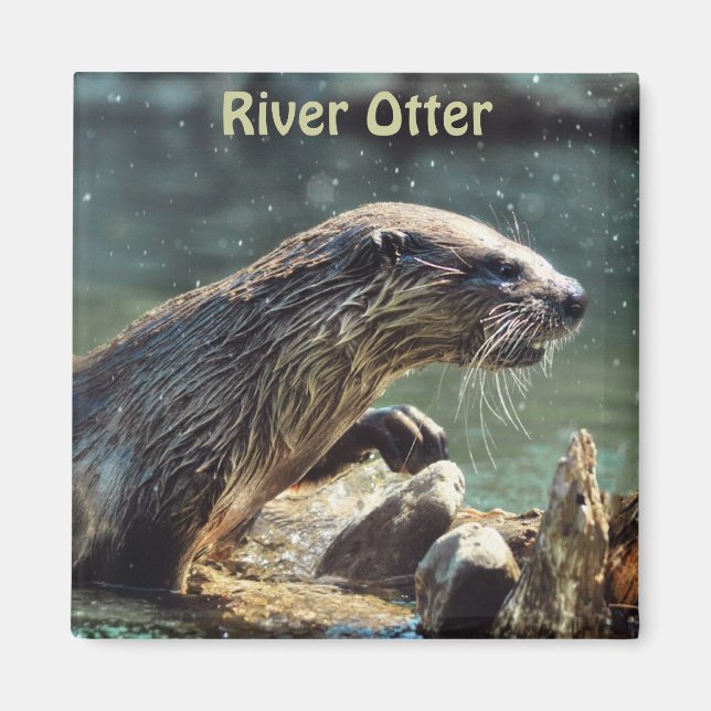 Imã Rio Otter Animal-lover Foto da vida selvagem (Frente)