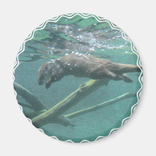 Imã Rio Otter Magnet