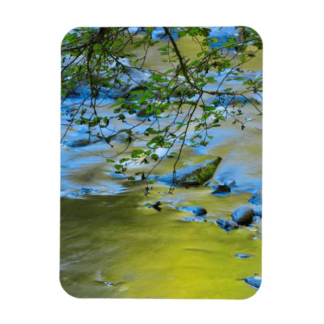 Ímã Rio Wilson South Fork, Oregon (Vertical)