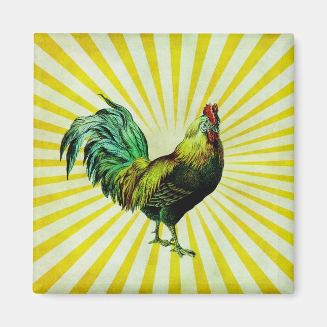 Imã Rise e Brilho (Frente)