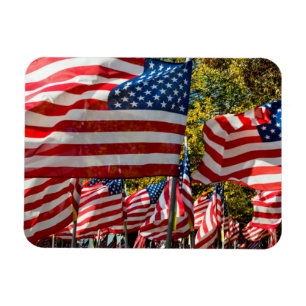 Ímã Riverdale, New York, EUA. Região vinícola