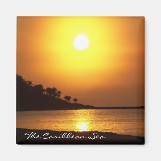 Imã Riviera Maya Cancún México Caribe Magnet