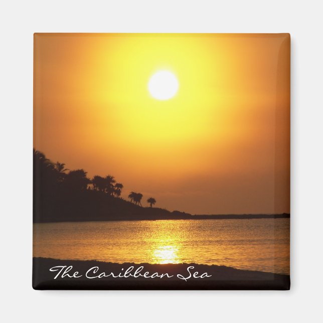 Imã Riviera Maya Cancún México Caribe Magnet (Frente)