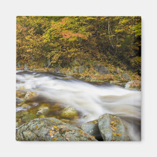 Imã Roaring Brook no outono nos Green