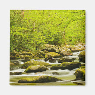 Imã Roaring Fork na Primavera