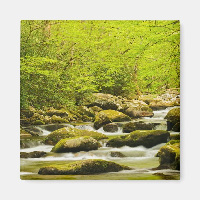 Imã Roaring Fork na Primavera (Frente)