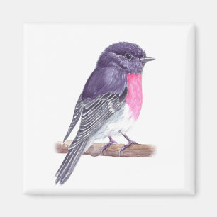 Imã Robin