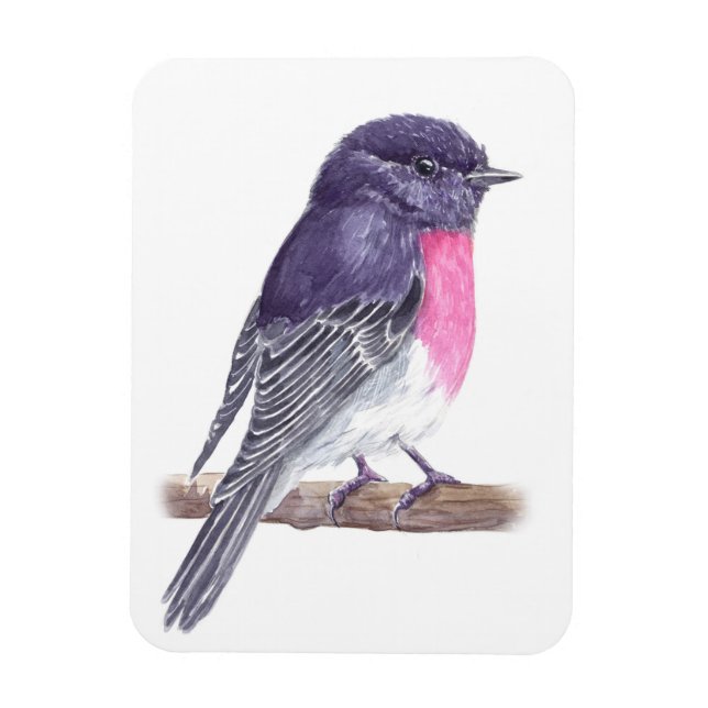 Ímã Robin (Vertical)