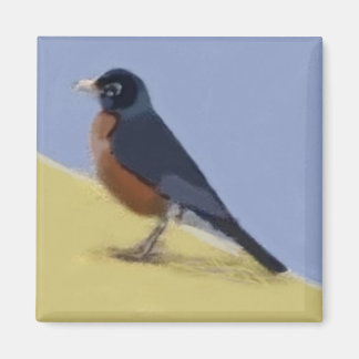 Imã Robin