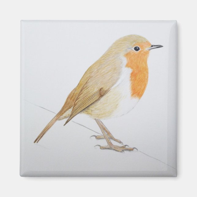 Imã Robin 2011 (Frente)