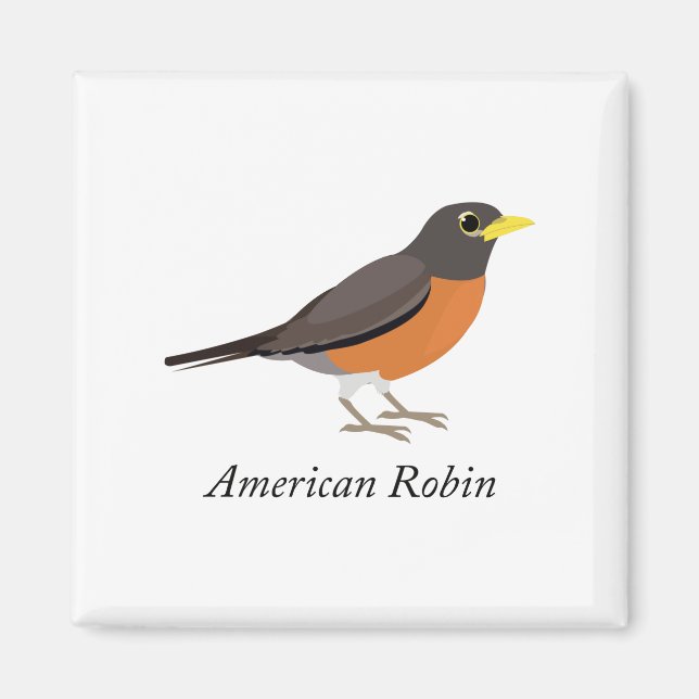 Imã Robin Americano (Frente)