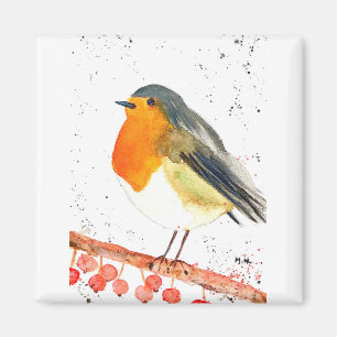 Imã Robin de Natal