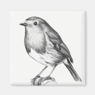 Imã Robin Natal