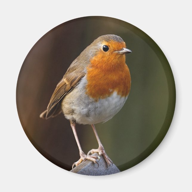 Imã Robin no Magnet Posto (Frente)