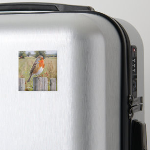Imã Robin Redbreast Magnet