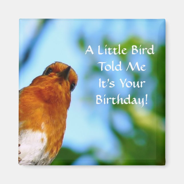 IMÃ ROBINS (Frente)