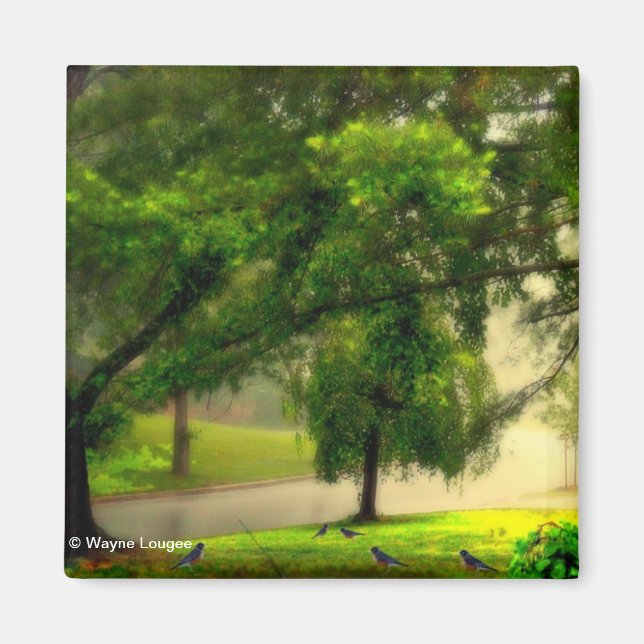 Imã Robins no magneto (Frente)