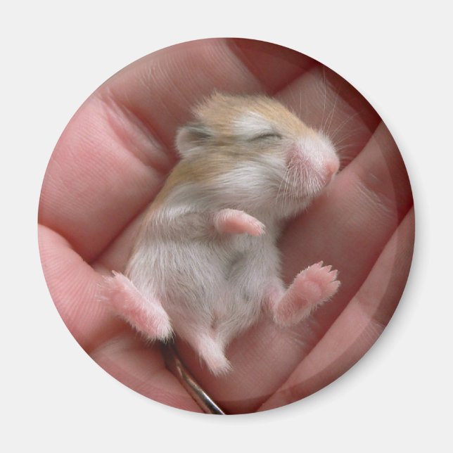 Imã Robo Pup Magnet (Frente)