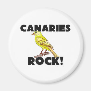 Imã Rocha de Canaries