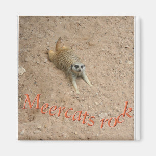 Imã Rocha de Meercats!