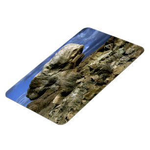 Ímã Rocha do cogumelo