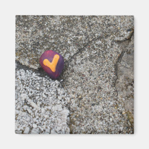 Imã Rocha do Coração e Rocha Fóssil