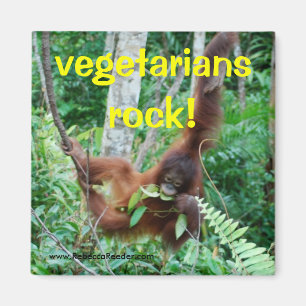 Imã Rocha dos vegetarianos do primata!