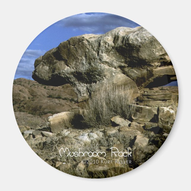 Imã Rocha Mushroom (Frente)