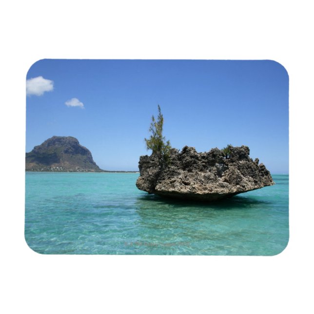 Ímã Rock cristalino composto por coral (Horizontal)