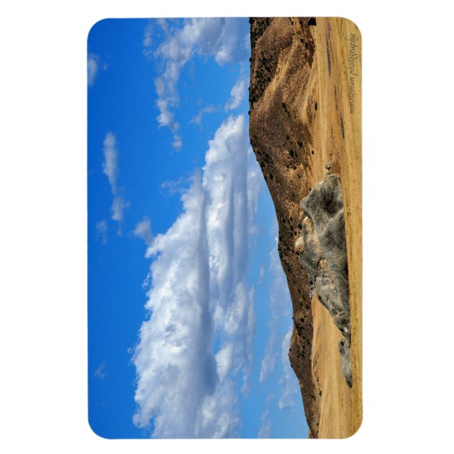 Ímã Rock Pintado na Planta (Vertical)