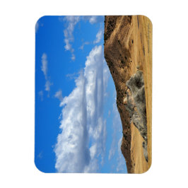 Ímã Rock Pintado na Planta