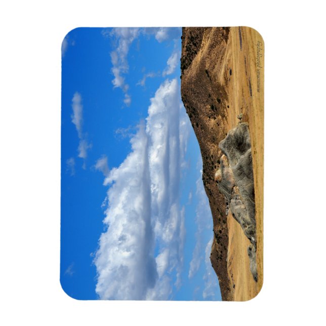 Ímã Rock Pintado na Planta (Vertical)