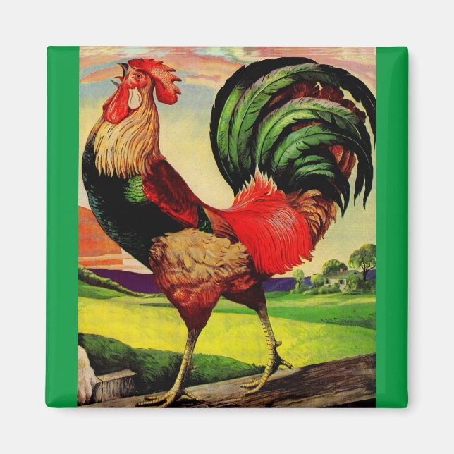 Imã Rocky the Handsome Rooster (Frente)