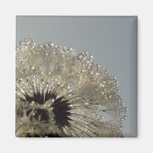 Imã Roda das gotículas (Frente)